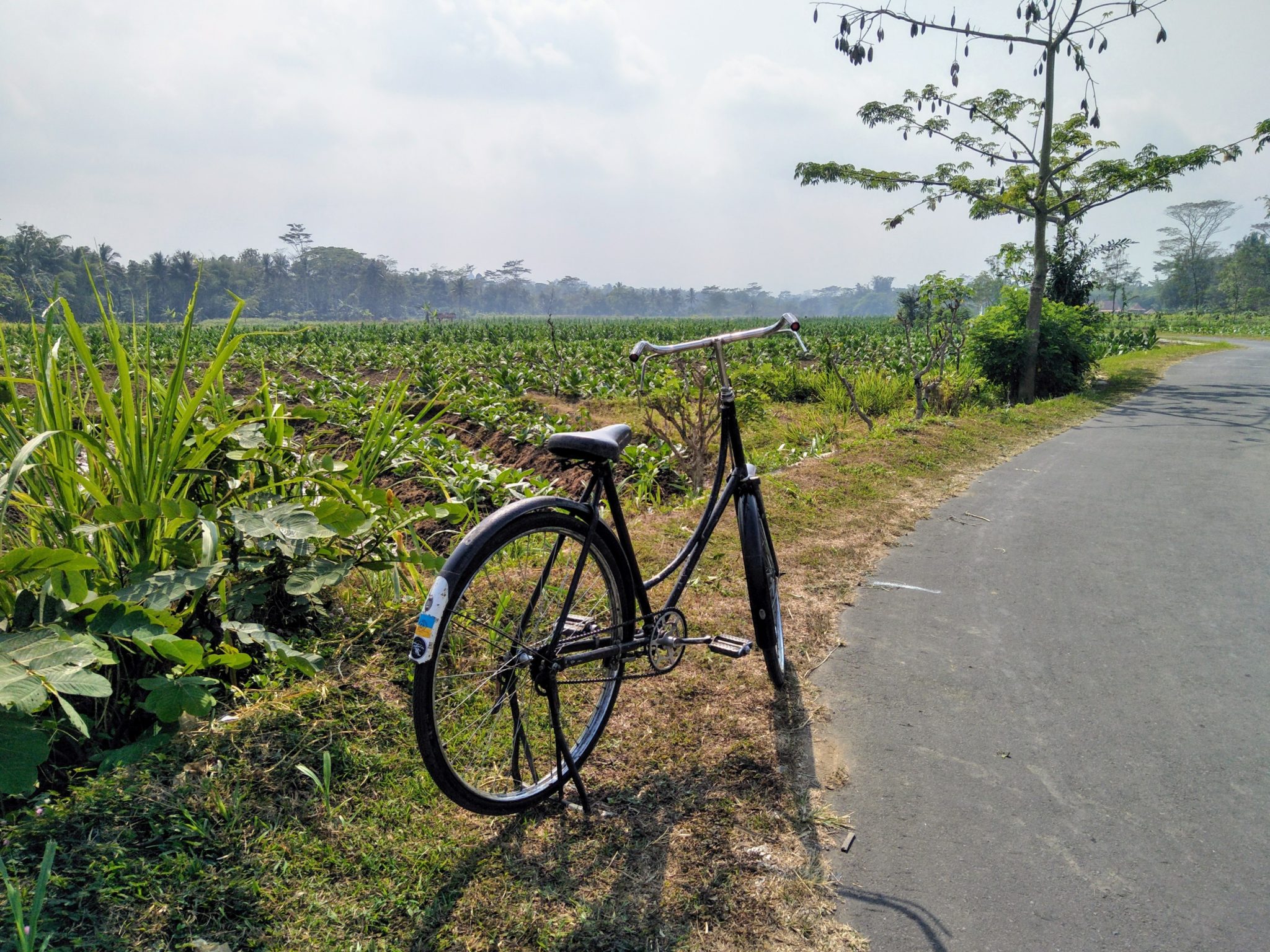 【インドネシア】ボロブドゥールの風景 自転車で回る（名所マップ付） | あじあ