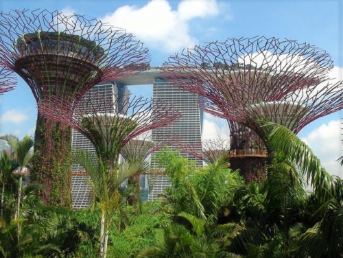 シンガポールの観光スポット ガーデンバイザベイ