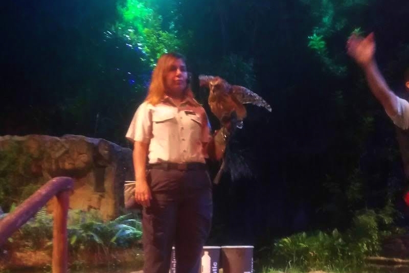 シンガポールナイトサファリのフクロウ
