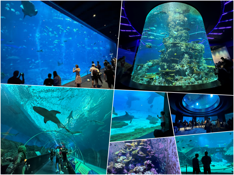 シンガポール新水族館「オーシャナリウム」完全ガイド｜行き方 