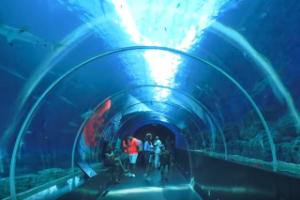 シンガポールセントーサ島のシーアクアリウムのシャークトンネル