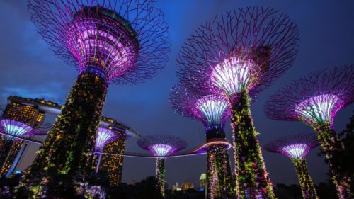 シンガポールの観光スポット ガーデンバイザベイのイルミネーション