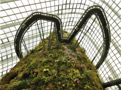 シンガポール 観光 ガーデンバイザベイのドーム型植物園