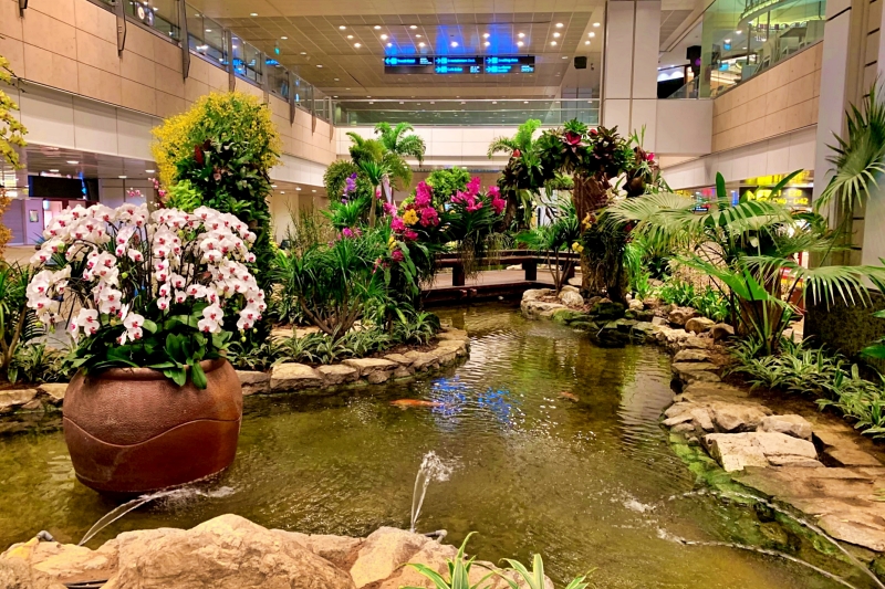 singapore changi airport terminal 2 Orchid Garden
