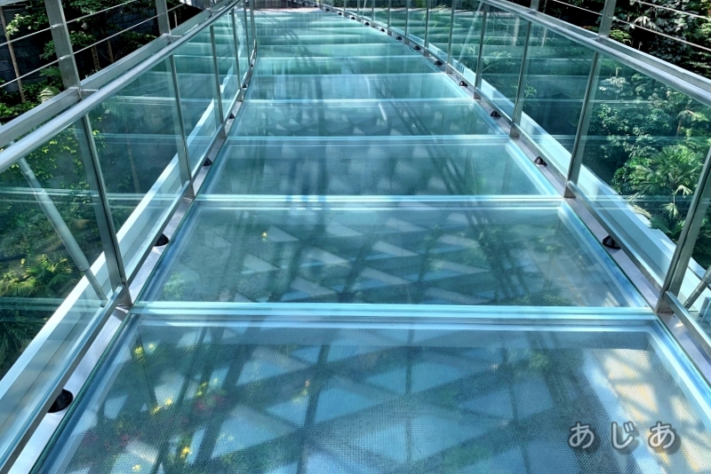 キャノピーブリッジの透明な床