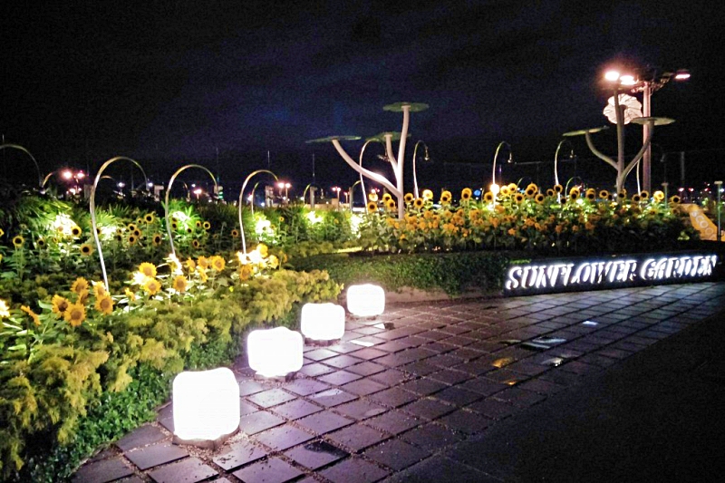 singapore changi airport terminal 2  Sunflower Garden