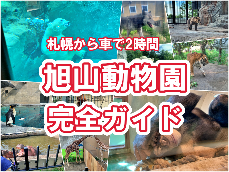 旭山動物園完全ガイド お得なチケット情報あり あじあ