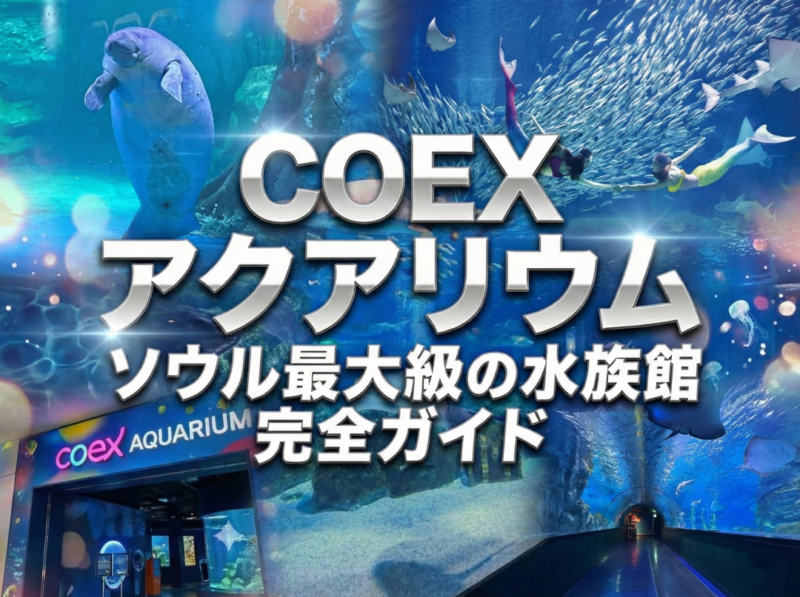 韓国COEXアクアリウム（水族館）完全ガイド｜安くチケットを買う方法・アクセス・営業時間