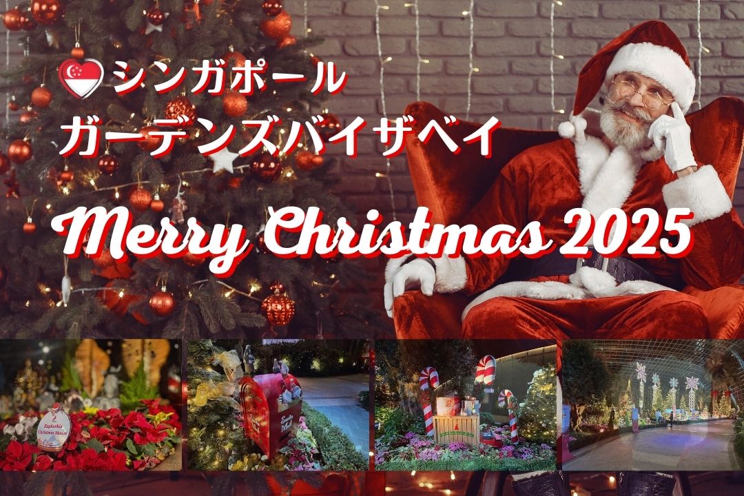 ガーデンズバイザベイ・フラワードームのクリスマスイベントに行って