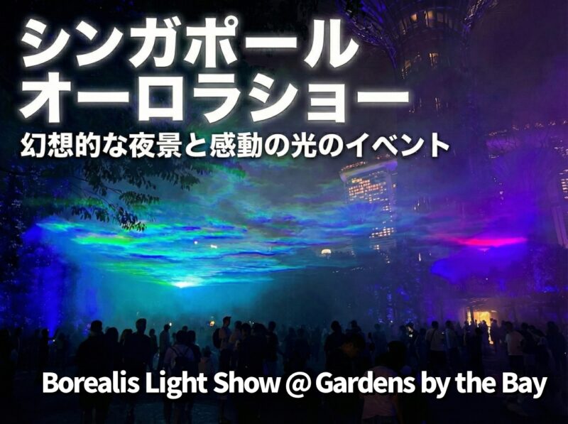 シンガポールのオーロラショー「Borealis」