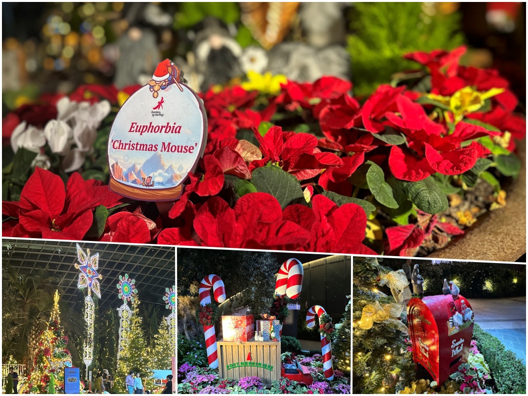 ガーデンバイザベイクリスマス