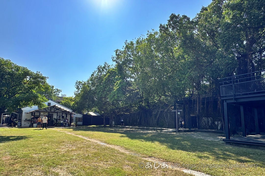 安平樹屋の裏手にある緑豊かな芝生広場と青空、そして空中歩道の外観