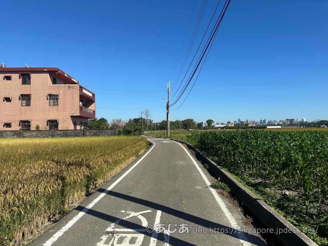 青空の下、田んぼや畑の横を真っ直ぐに伸びる舗装された細い道と、奥に見える台中の街並み