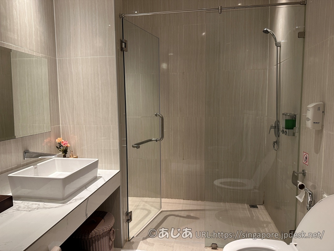 ガラス扉のシャワーブース、白い四角い洗面ボウル、トイレが備わった清潔なシャワールームの内部。