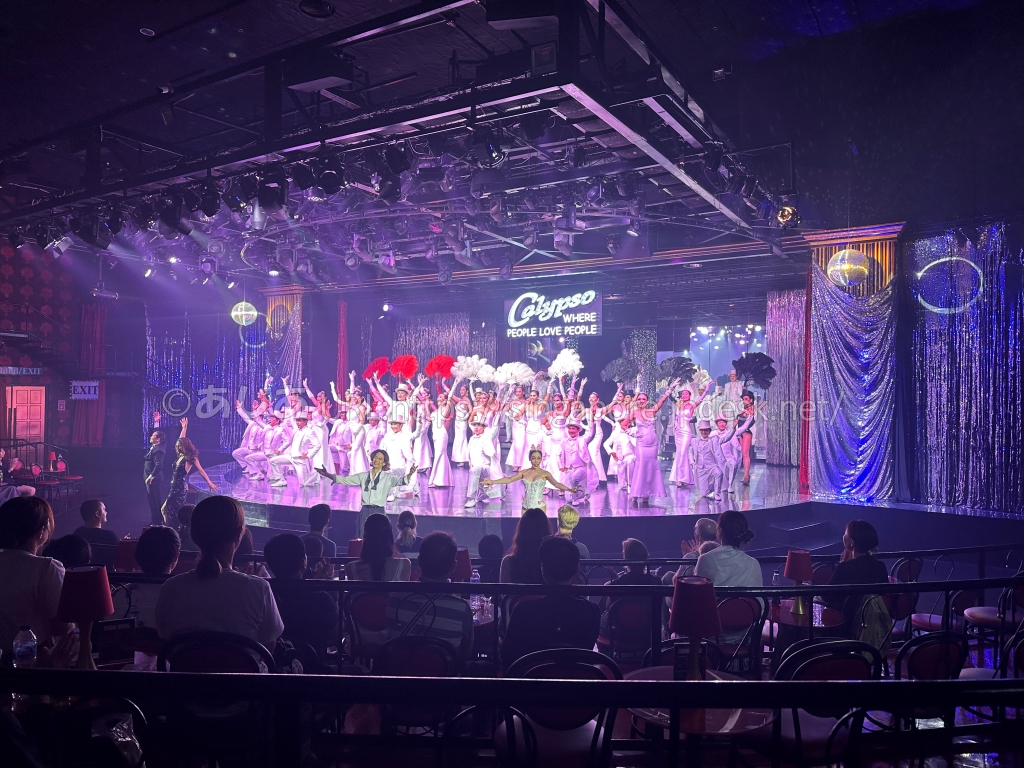 カリプソキャバレーのフィナーレで並ぶ華やかな出演者