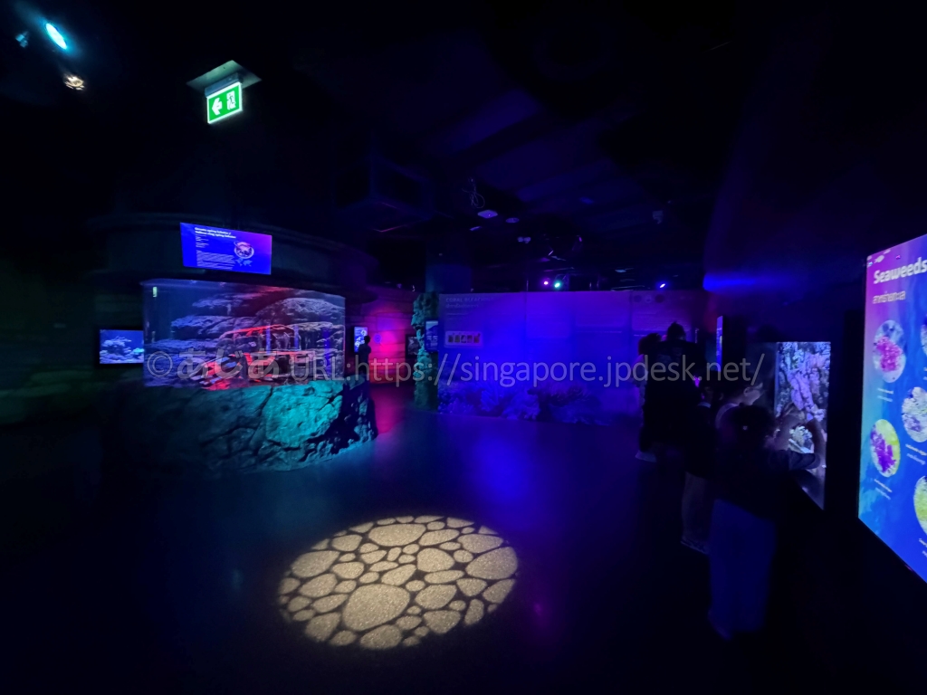 青と紫の照明に包まれたシーライフ・バンコク館内の展示通路