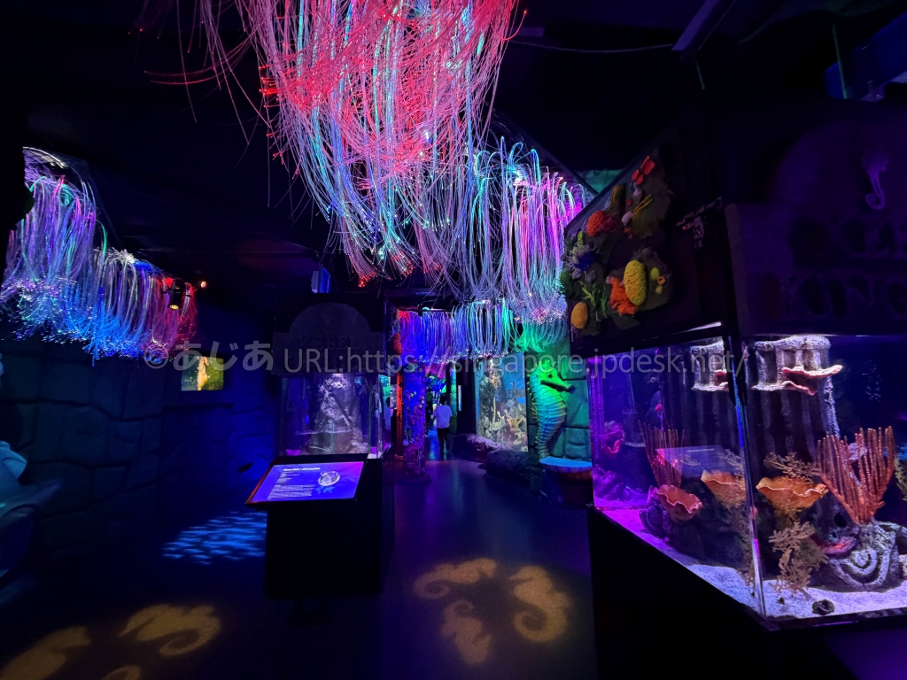 カラフルな照明とサンゴ水槽が並ぶシーライフ・バンコクの展示エリア