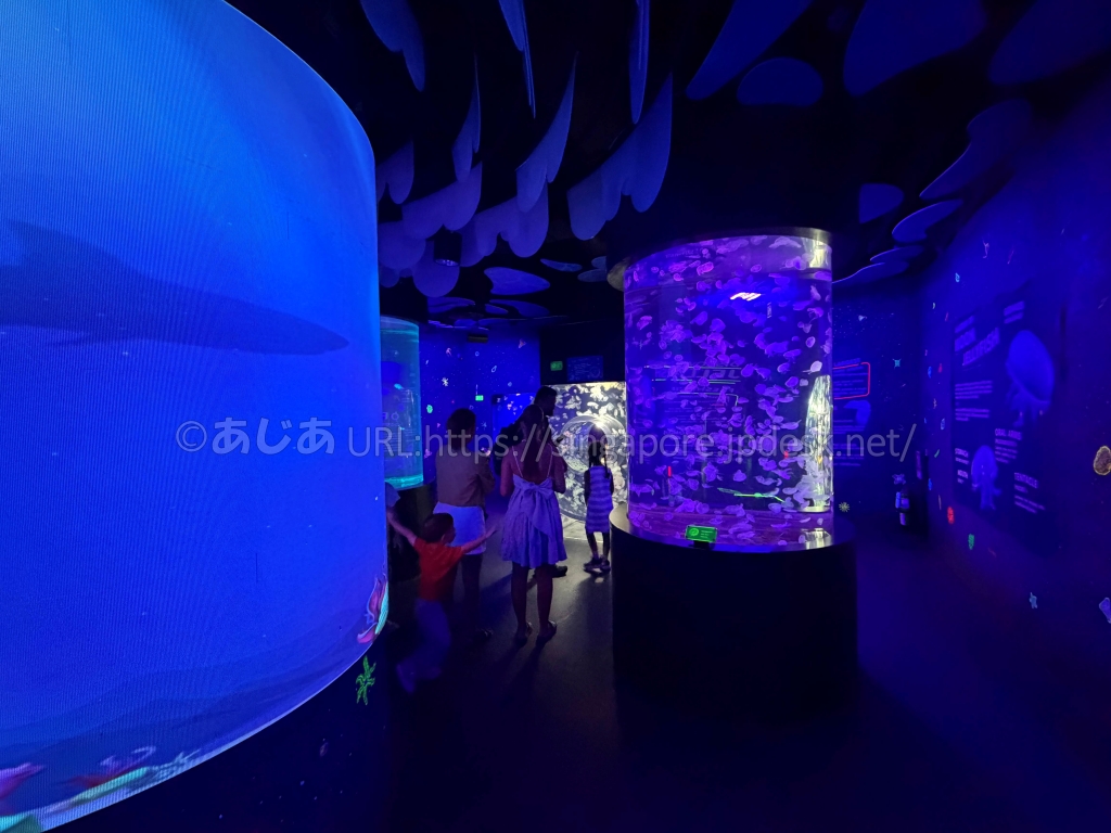 青紫の光に照らされたシーライフ・バンコクのクラゲ展示室