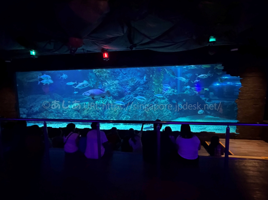 シーライフ・バンコクの大水槽を座って眺める来館者