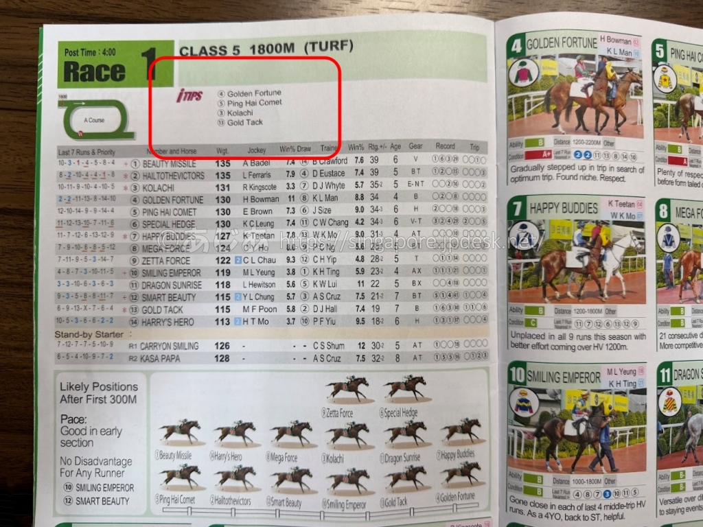 iRACEの出馬表上部にあるiTips推奨4頭の掲載欄