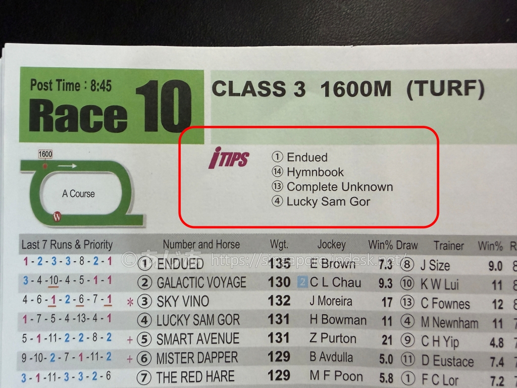 沙田競馬場第10レースで13番と4番を推奨したiRACEのiTips欄