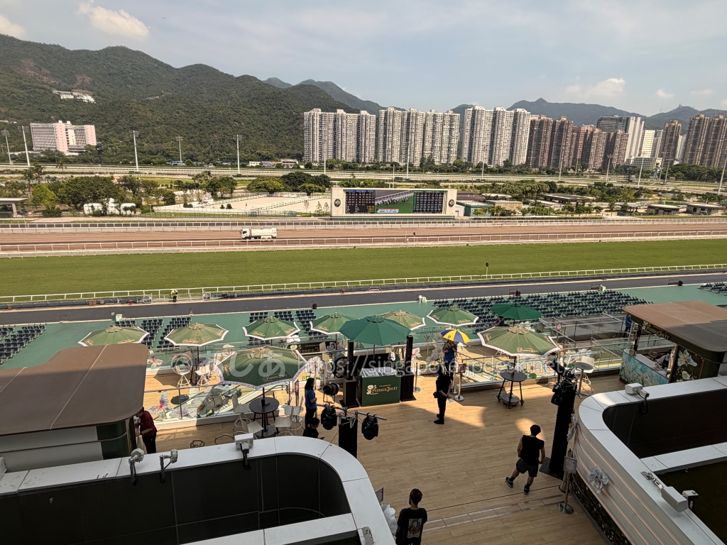 スタンドから芝コースと一般席を見渡した沙田競馬場の風景