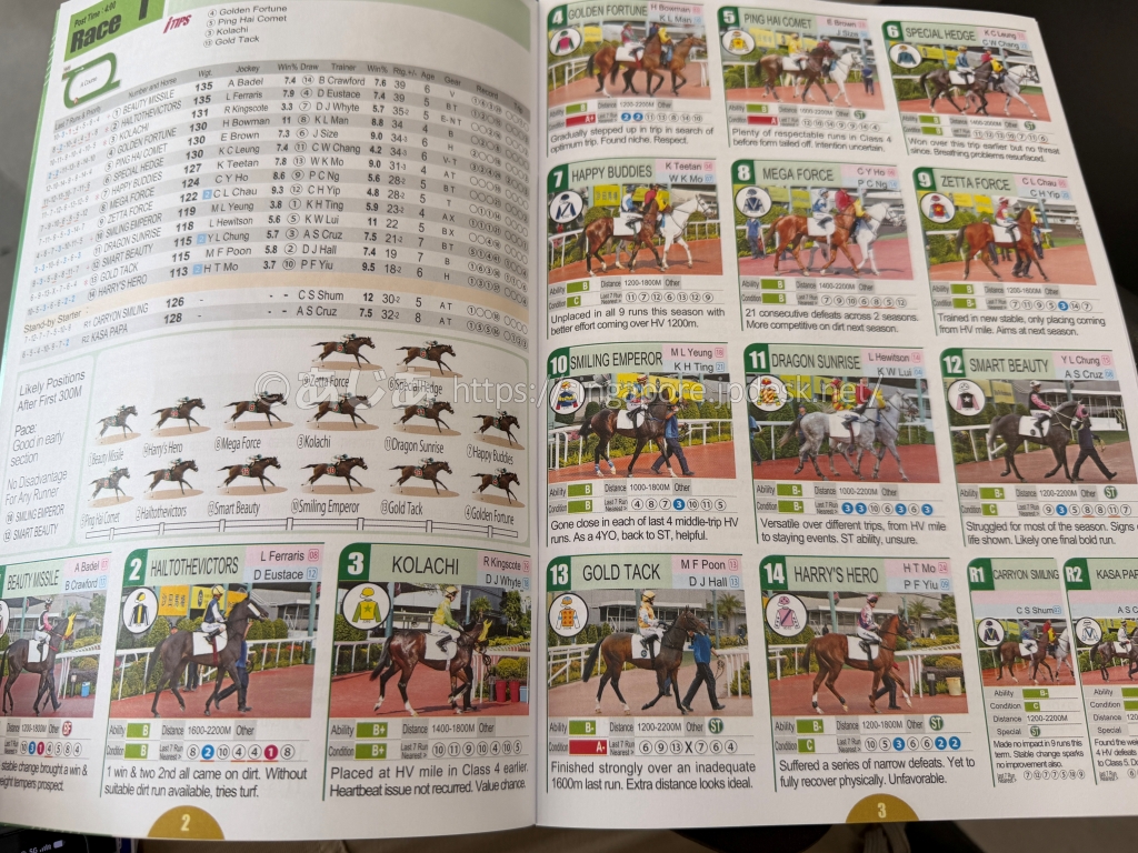 馬の写真と予想データが掲載された英語版レースプログラムiRACE