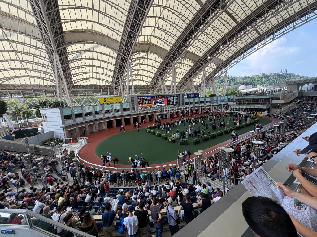 大きな屋根と観覧席に囲まれた沙田競馬場のパドック