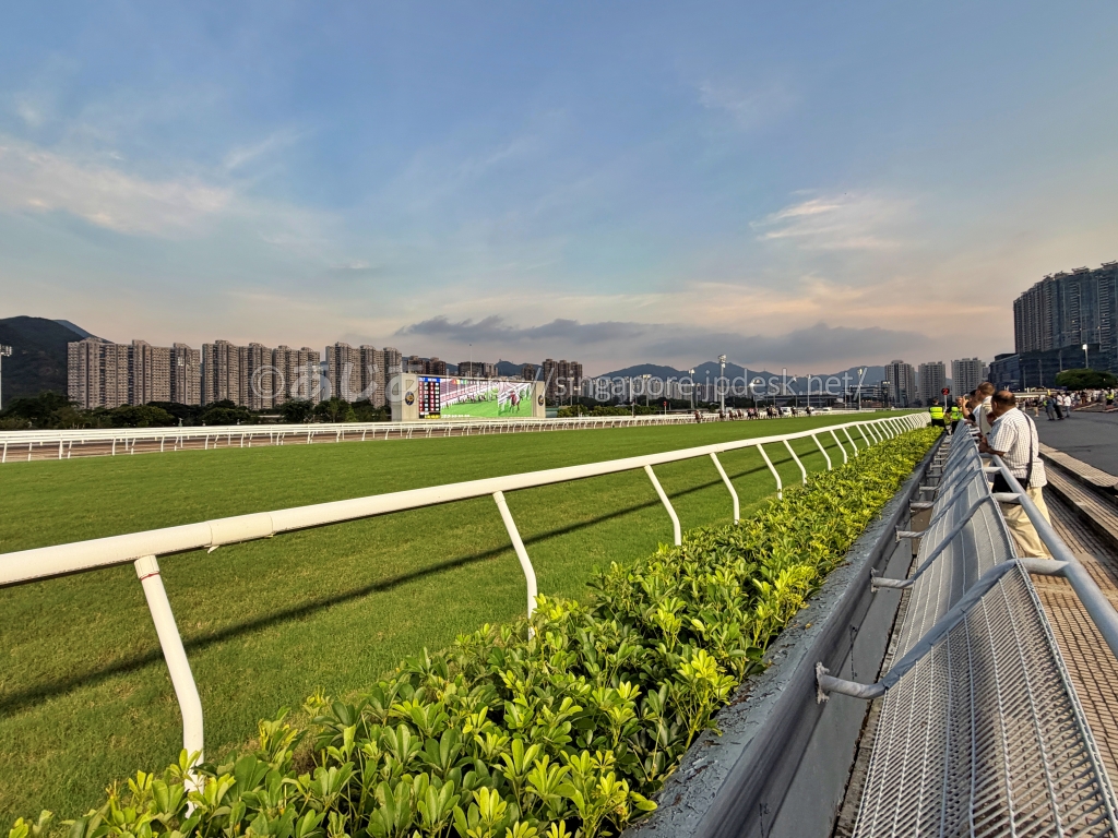夕方の香港沙田競馬場の芝コースと大型ビジョン