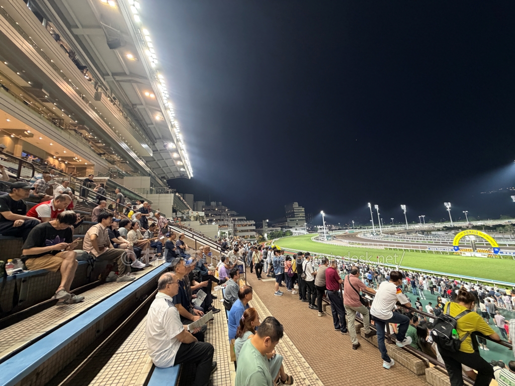 夜の沙田競馬場でコース全体を見渡せる一般スタンド