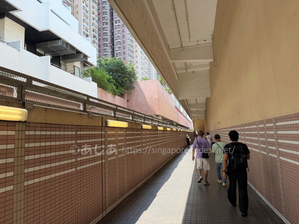 火炭駅から沙田競馬場へ続くタイル張りの歩行者通路