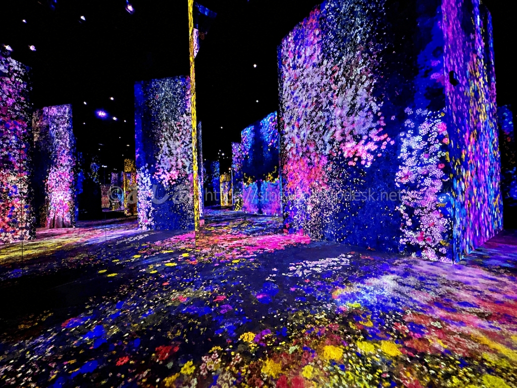 花の映像が床と壁一面に広がるマカオ・チームラボの巨大展示空間