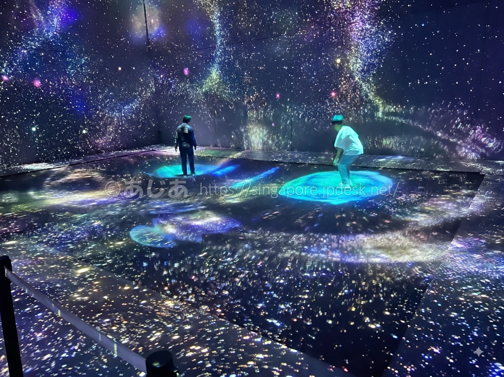 宇宙の映像に包まれた運動の森で身体を動かす来場者