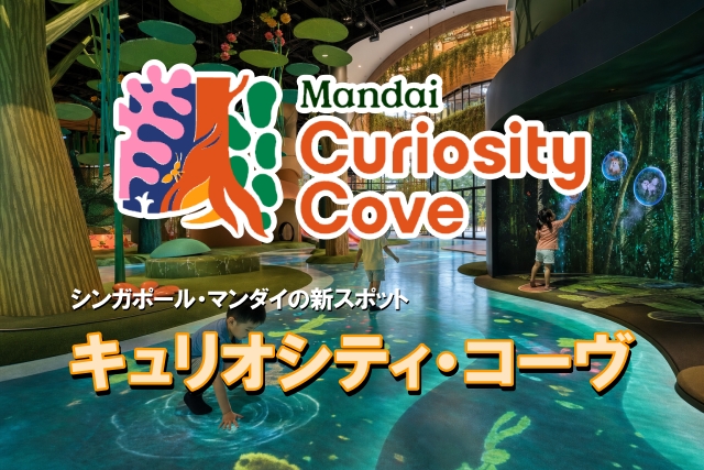 キュリオシティコーブ