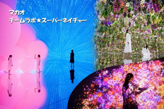 チームラボ★マカオの没入型デジタルアートをまとめた写真